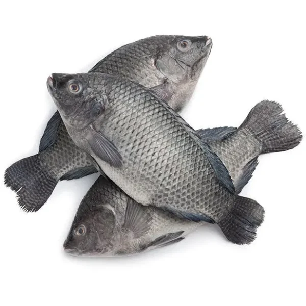 Whole Tilapia (Frozen) 1kg