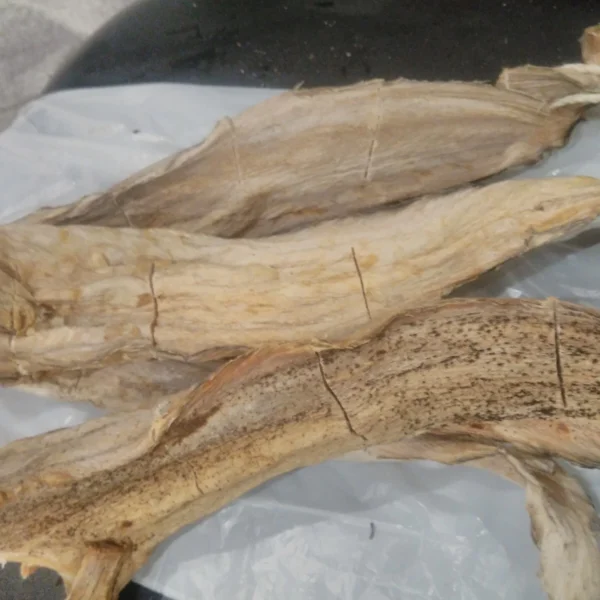Stockfish Head (Panla)