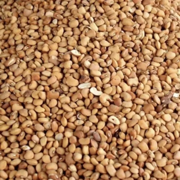Honey Beans (Oloyin)
