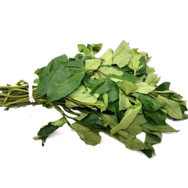 Fresh Ugu (Pumpkin Leaves)